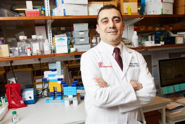 bishoy faltas bladder cancer doc